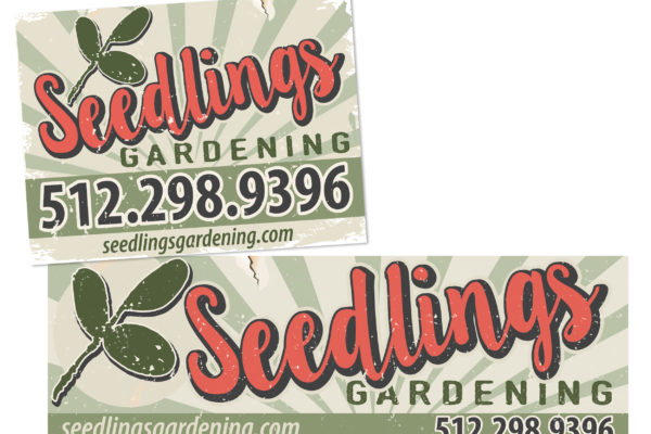 Seedlings