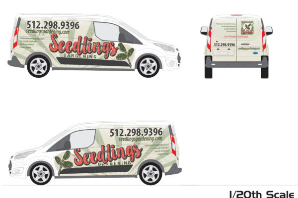 Seedlings